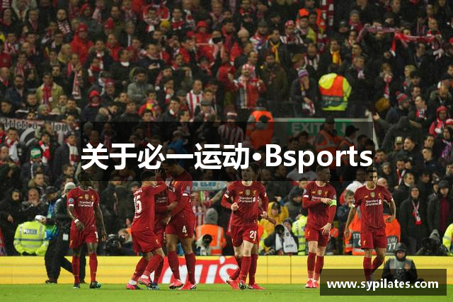 关于必一运动·Bsports